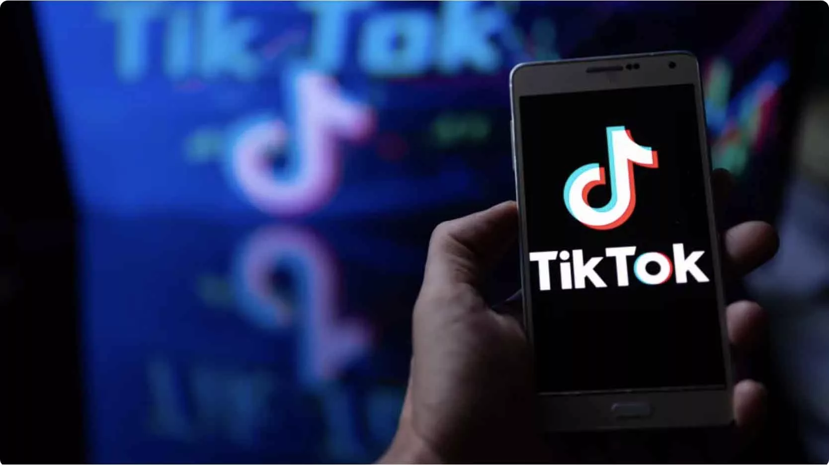 With Profile Kit, users will be able to add TikTok videos to other sites