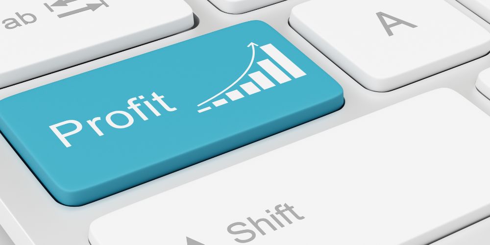 Can a Fractional CTO Increase Your Bottom Line?